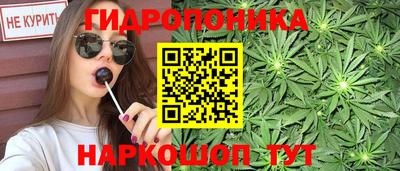 стаф Заводоуковск