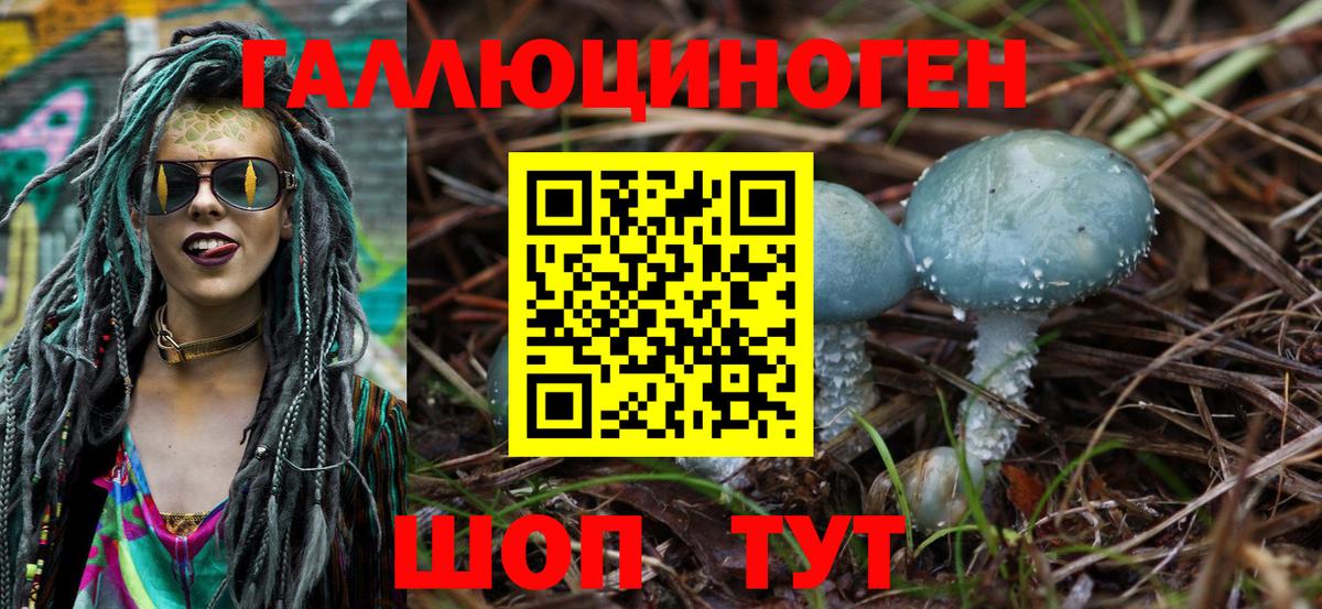 Псилоцибиновые грибы Psilocybe  Вход с VPN  Краснокаменск 